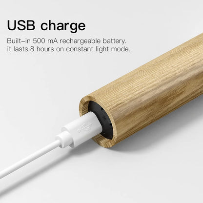 Intelligent Magnetic Motion Sensor Light